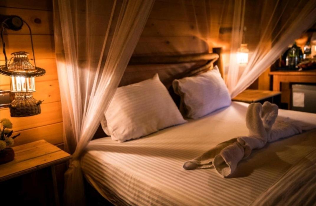 Ella Wood Cabin Kültér fotó