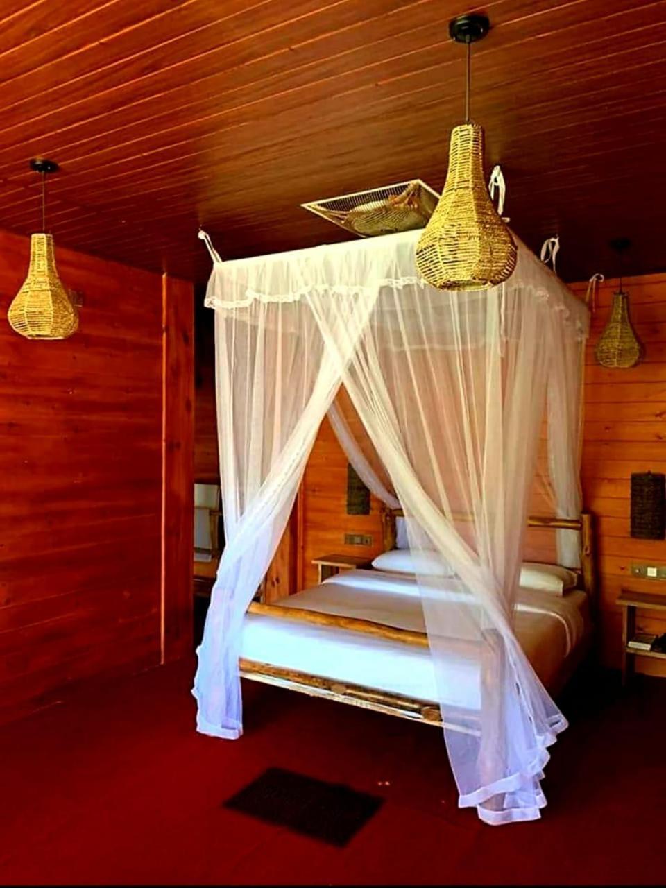 Ella Wood Cabin Kültér fotó
