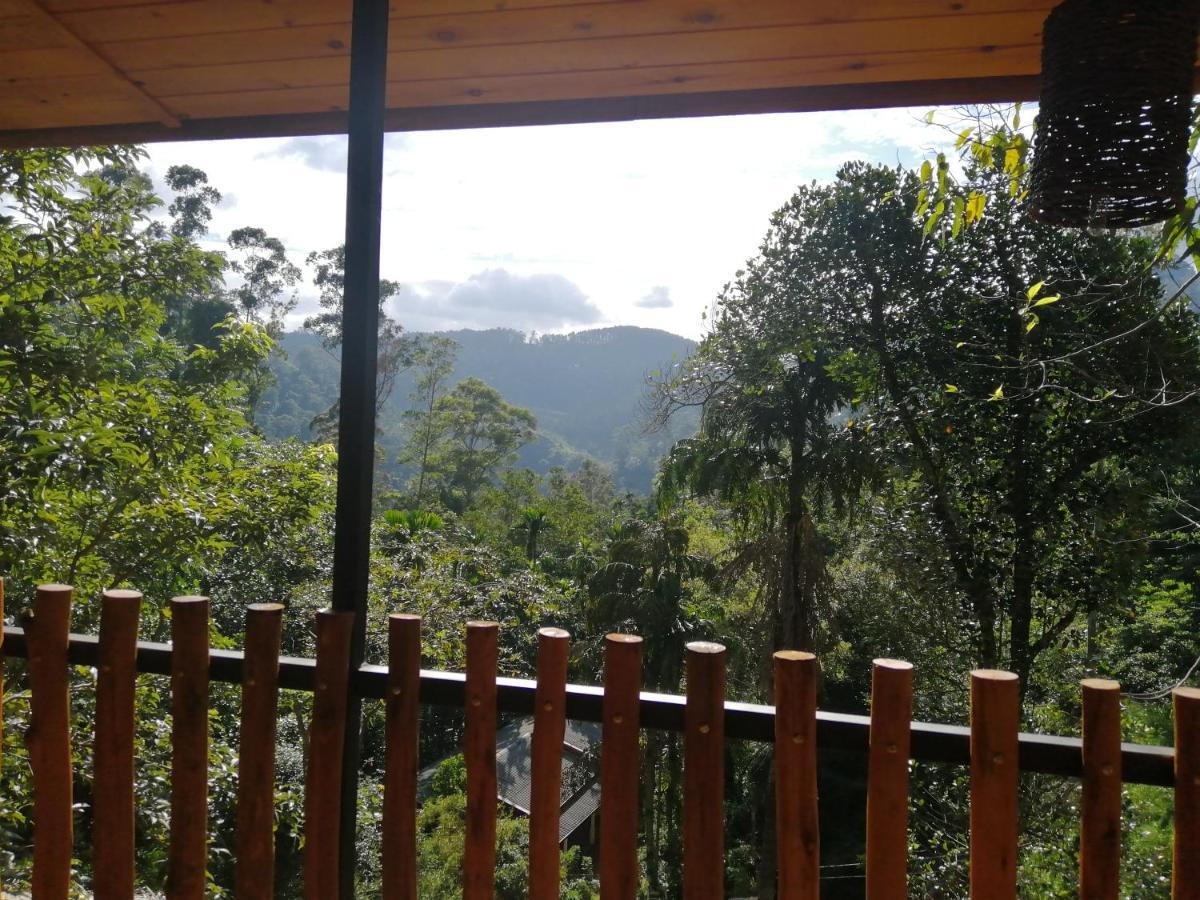 Ella Wood Cabin Kültér fotó